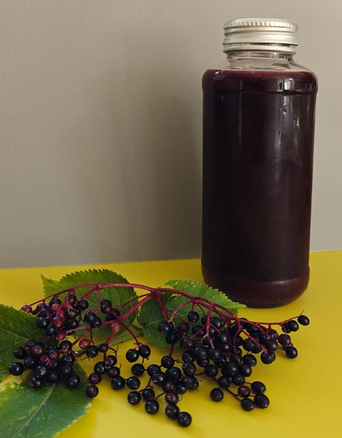Eldeberry Syrup
